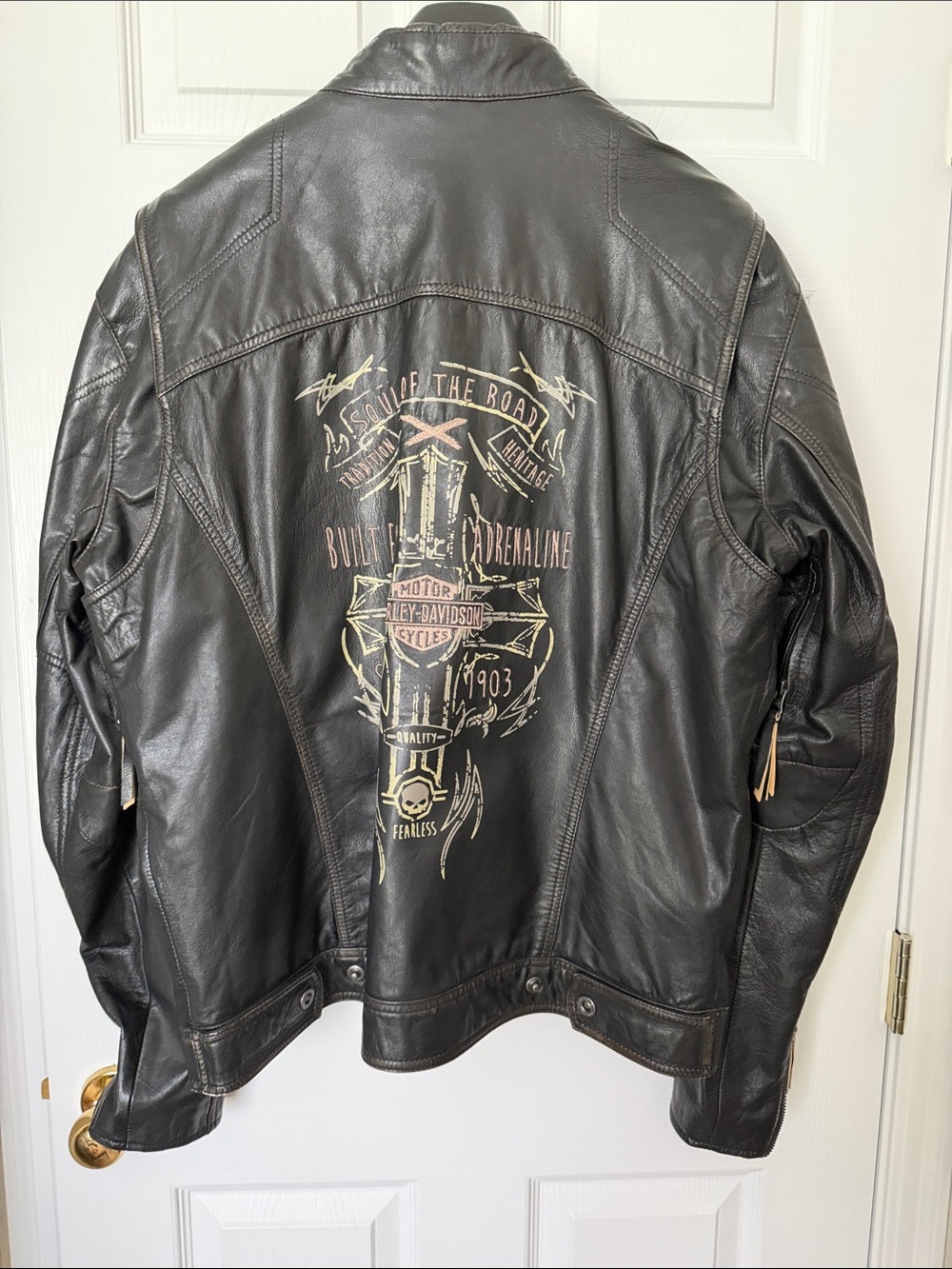 Harley-Davidson Black Leather Jacket with Gold Back Graphic